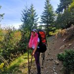 Карпаты Говерла Петрос